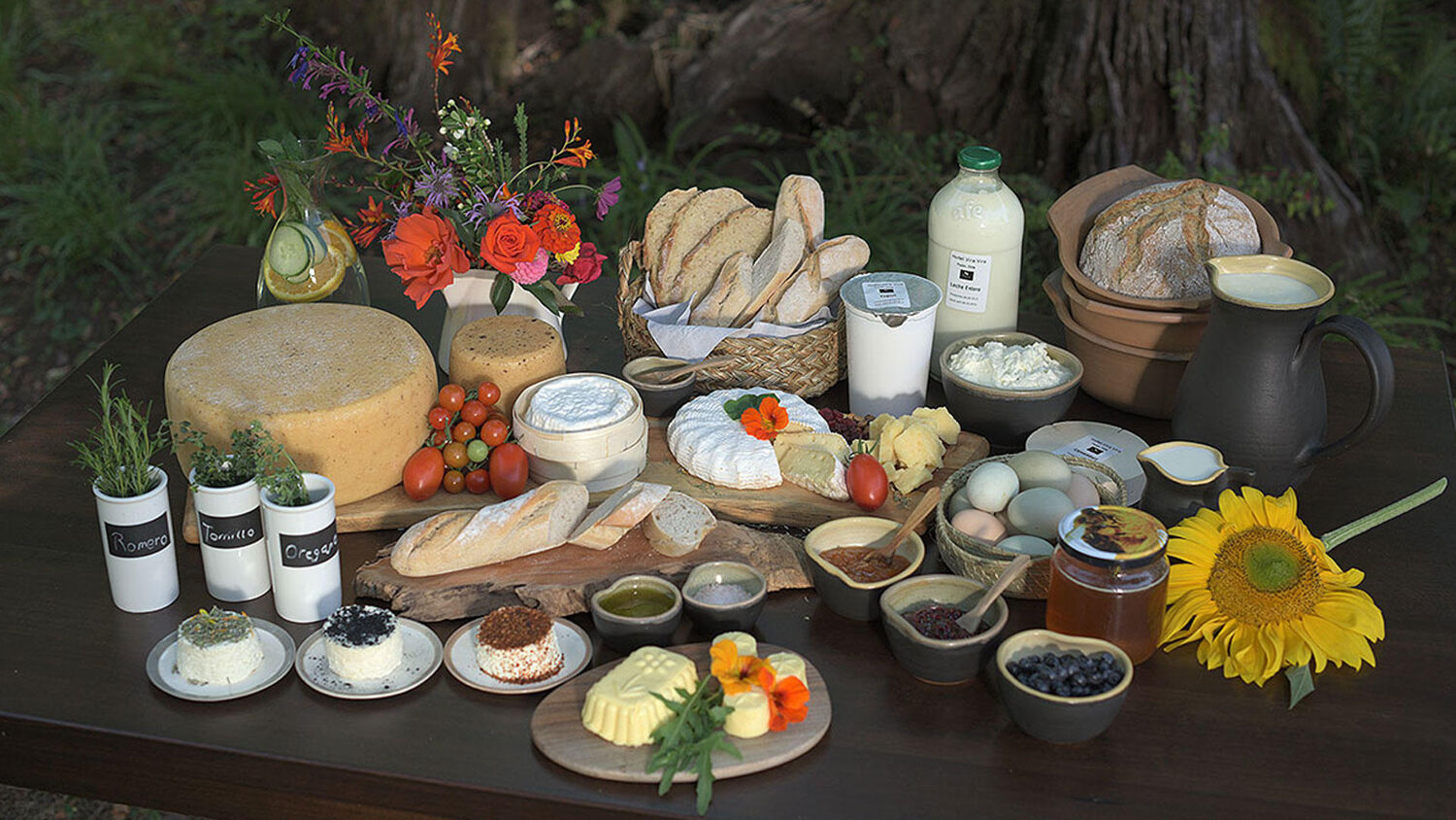 PlaceholderImage1302